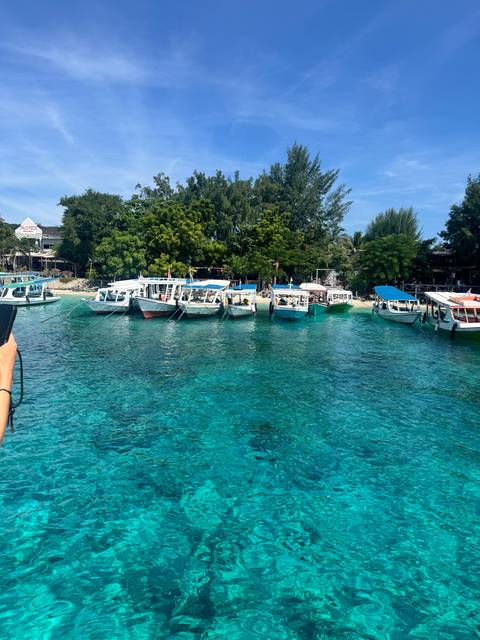       Clear blue water with boats and lush trees.
  