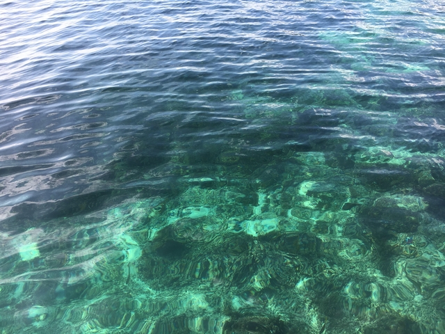       Close-up of rippling water with turquoise hues.
  
