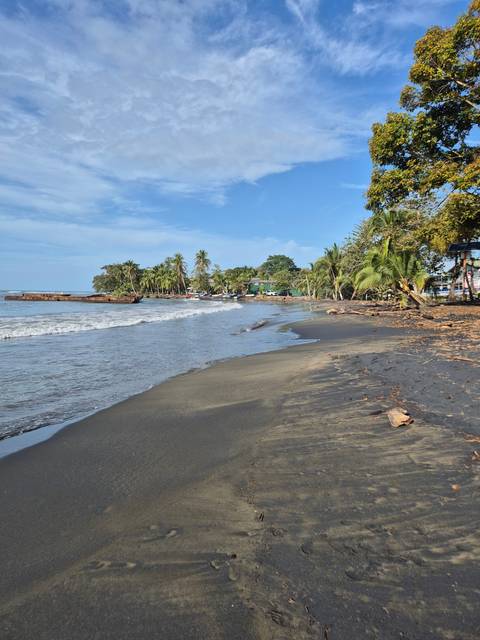 Sandy beach with waves coming ashore and distant trees.
