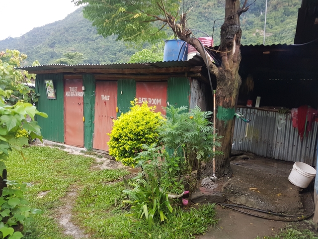 Simple outdoor facilities with plants and corrugated metal.