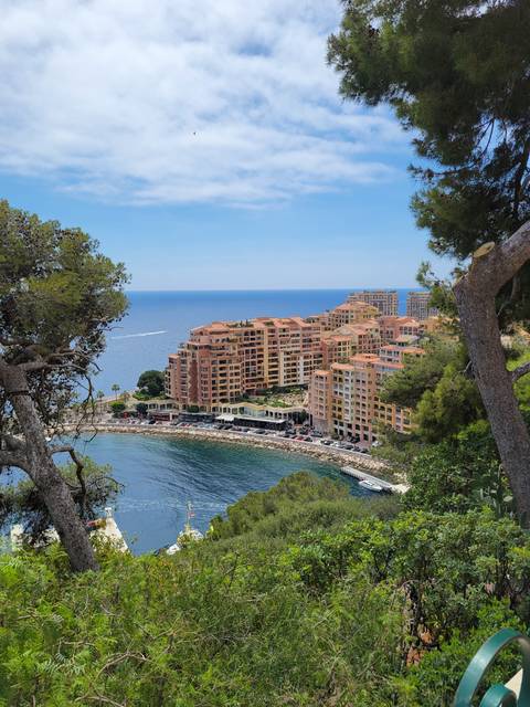       Scenic view of colorful buildings by a harbor.
  