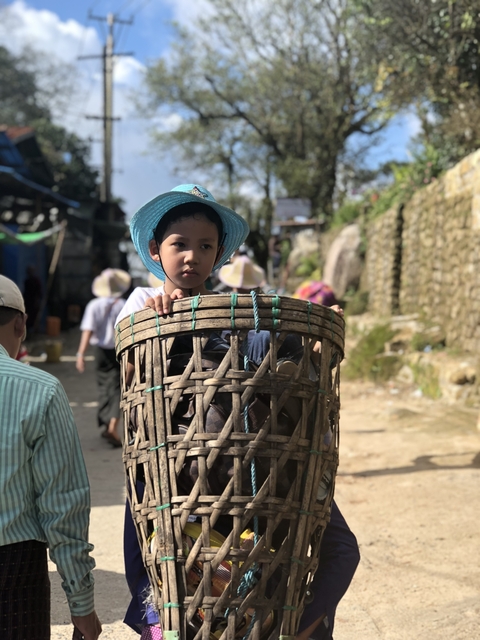 Child sitting in a basket, wearing a blue hat.