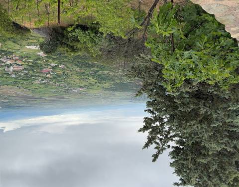       View of a valley with trees and distant mountains.
  
