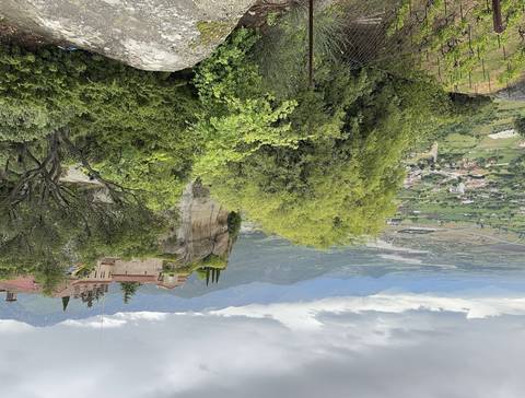       Dense greenery over a rocky hillside.
  