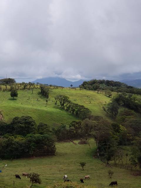 Green landscape with distant mountains under a cloudy sky.