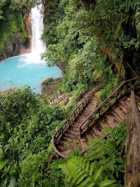 Waterfall flowing into a turquoise pool surrounded by lush foliage.