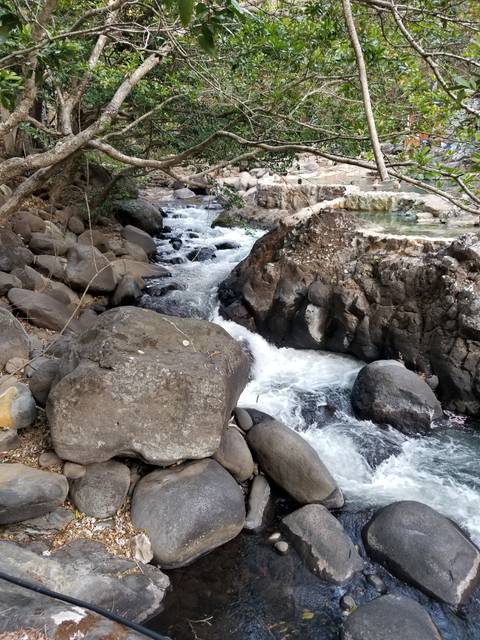 River rapids flowing between rocks and trees.