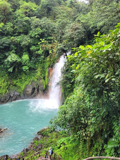       Waterfall surrounded by dense forest.
  