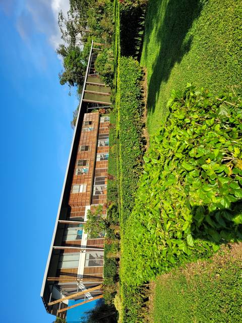 Upside-down image of a building and garden.
