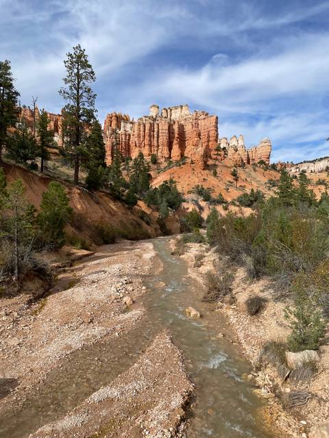       River running through a canyon landscape.
  