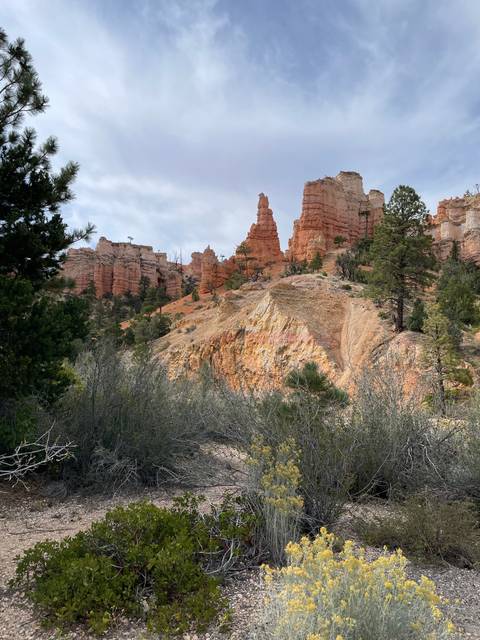       Close-up of rock formations in Bryce Canyon.
  