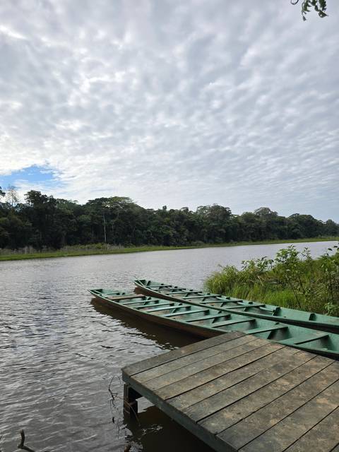       A riverside view with a dock extending into the water.
  