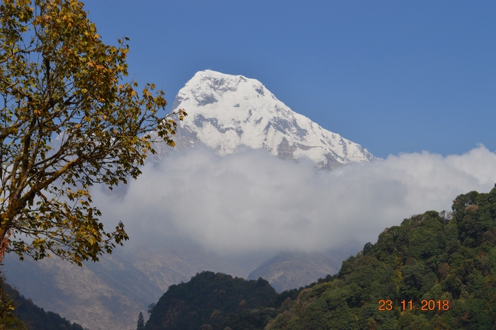       Mountain peak emerging through clouds and trees.
  