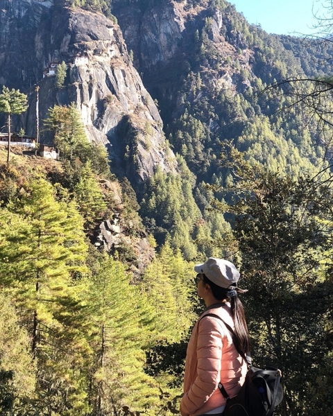 A scenic view of a person looking at mountains and forests.