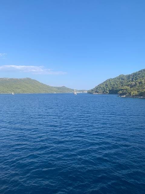 Landscape of a blue sea and a forested island.