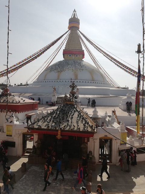 Large stupa with pigeons and prayer flags.