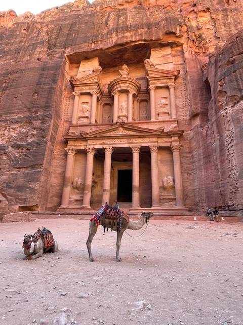 Camels in front of the ancient Petra treasury.