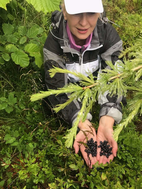 A person crouching in a green forest with plants.