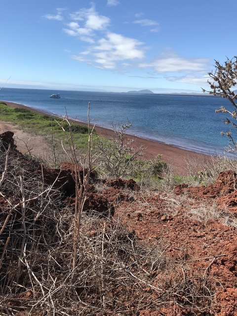       Scenic view from a cliff with a boat on the ocean.
  