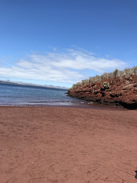       A red sandy beach with ocean view and distant hills.
  