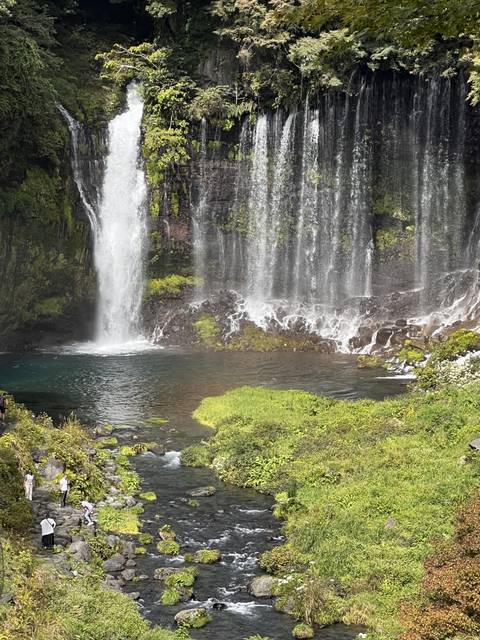       Waterfall surrounded by lush greenery.
  