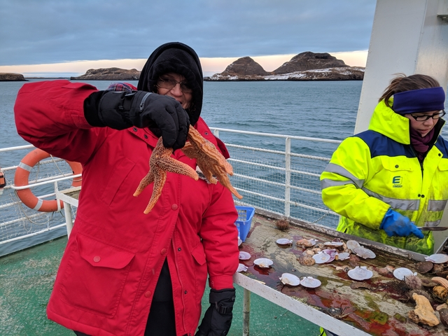       Person on a boat holding a starfish with another person working nearby, with sea and rocky islands in the background.
  