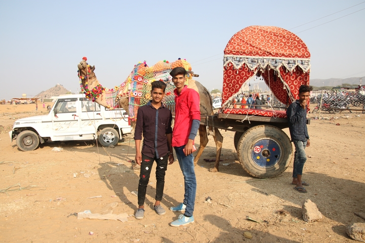 Men posing beside a decorated camel in a sandy area.