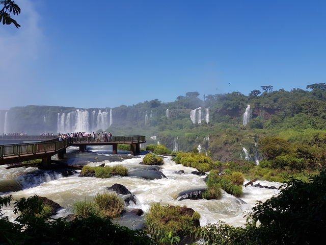 Tourists on a platform overlooking Iguazu Falls with lush greenery.