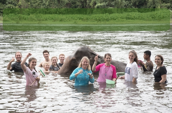 Group of people in water interacting with elephants.