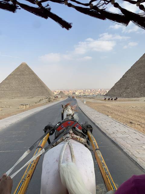 A horse and carriage with pyramids and a city view.