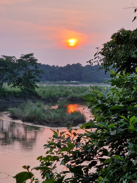 Sunset view over a river with reflections and surrounding greenery.