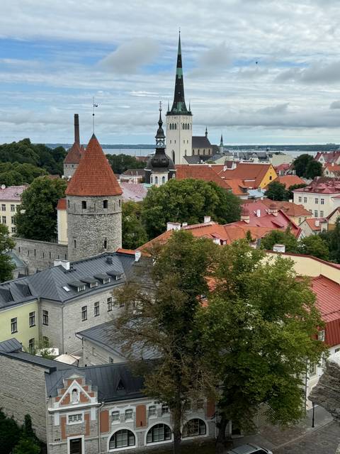       Aerial view of a city with red roofs and a tall church spire.
  