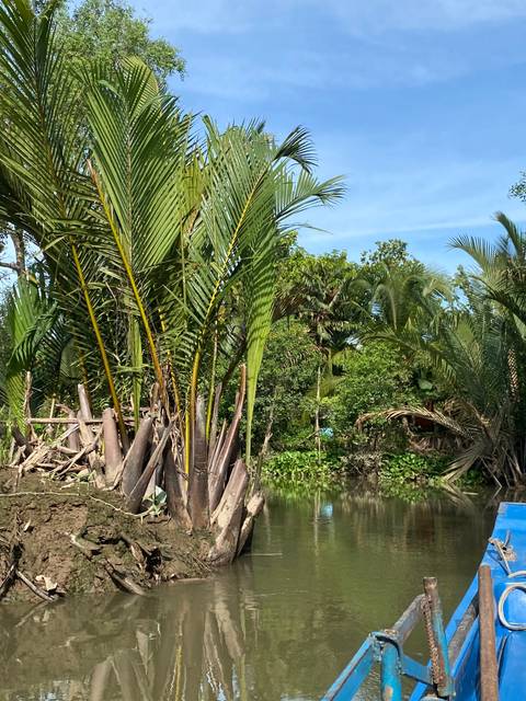       River view with tropical foliage on the bank.
  
