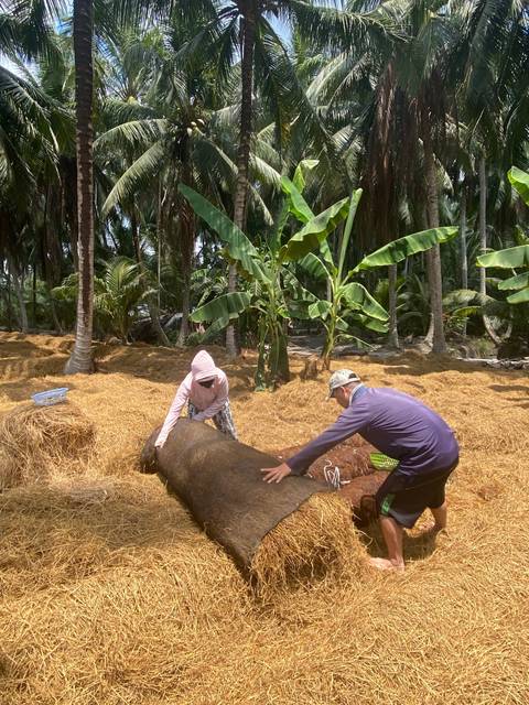 Two workers handling straw under palm trees.