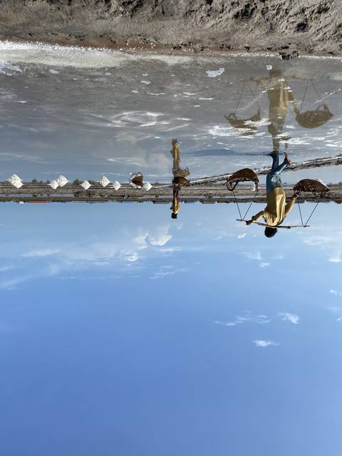       People harvesting salt from a salt field
  