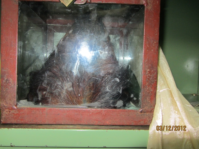       Display case holding a hairy artifact.
  