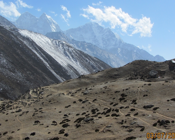       Paths through a mountainous landscape with snow-capped peaks.
  