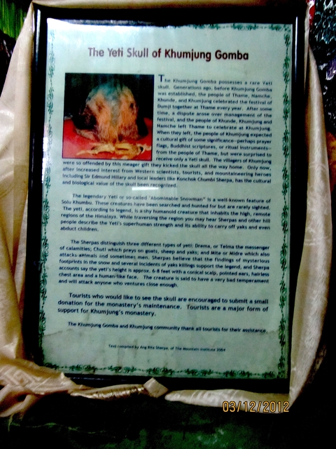       Blurry image of a text panel discussing Yeti.
  