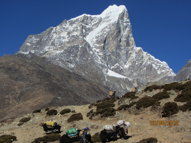       Path leading to a snowy mountain peak.
  