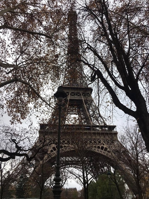 Klantbeoordelingsfoto van Continentaal Sprookje (17 bestemmingen) 