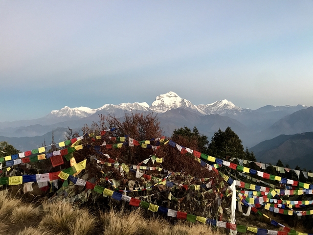 Himalayan mountain range with prayer flags in the foreground.