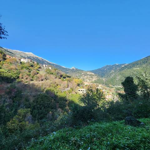       A landscape with hills and greenery.
  