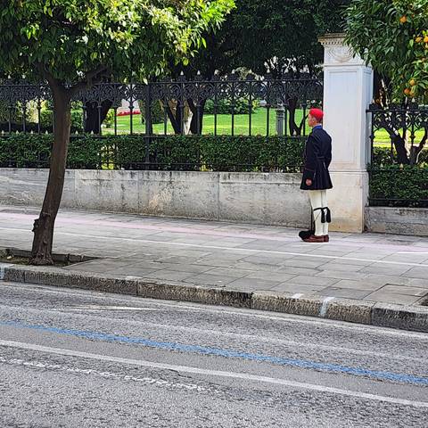       A guard in a red hat next to a historical fence.
  
