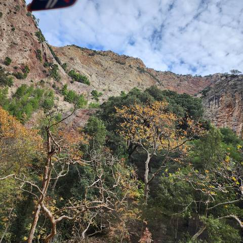       Colorful foliage and rock formations.
  