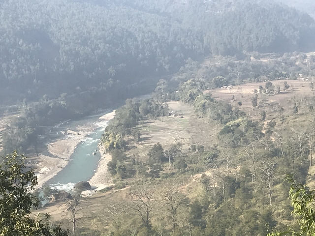       Aerial view of river winding through the forest.
  