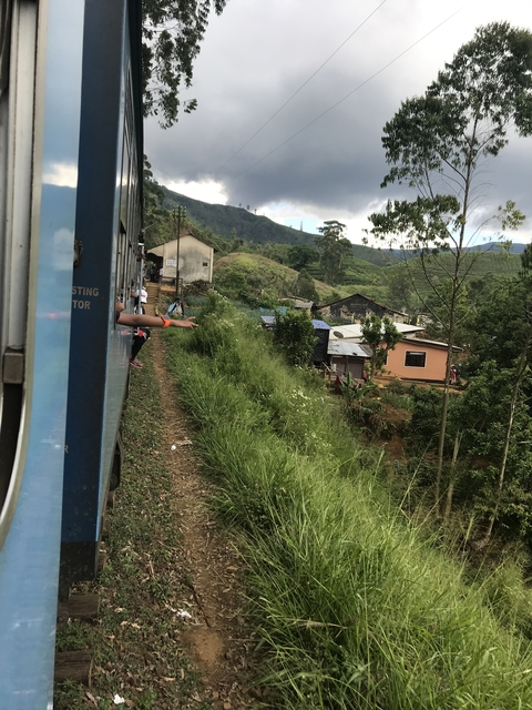 View from a train window showing rural village with greenery.