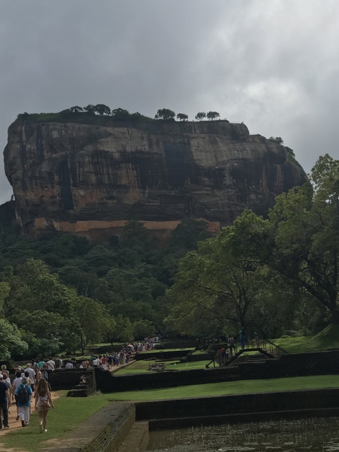 Large rock fortress rising above forested landscape.