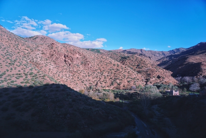 Rocky desert landscape with sparse vegetation.