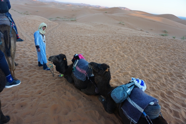 Camels and person in traditional clothing in a desert.