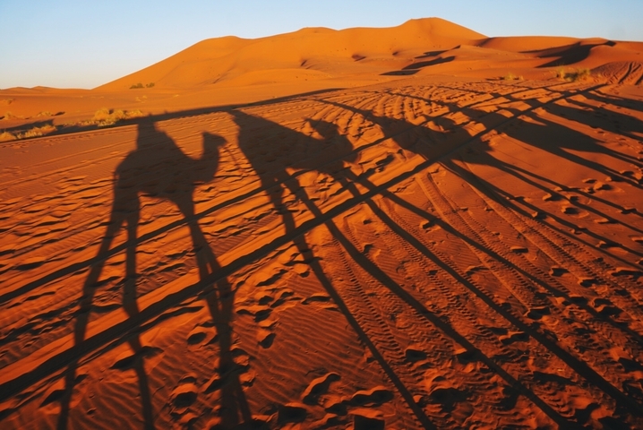 Camel shadows cast on red desert sand.